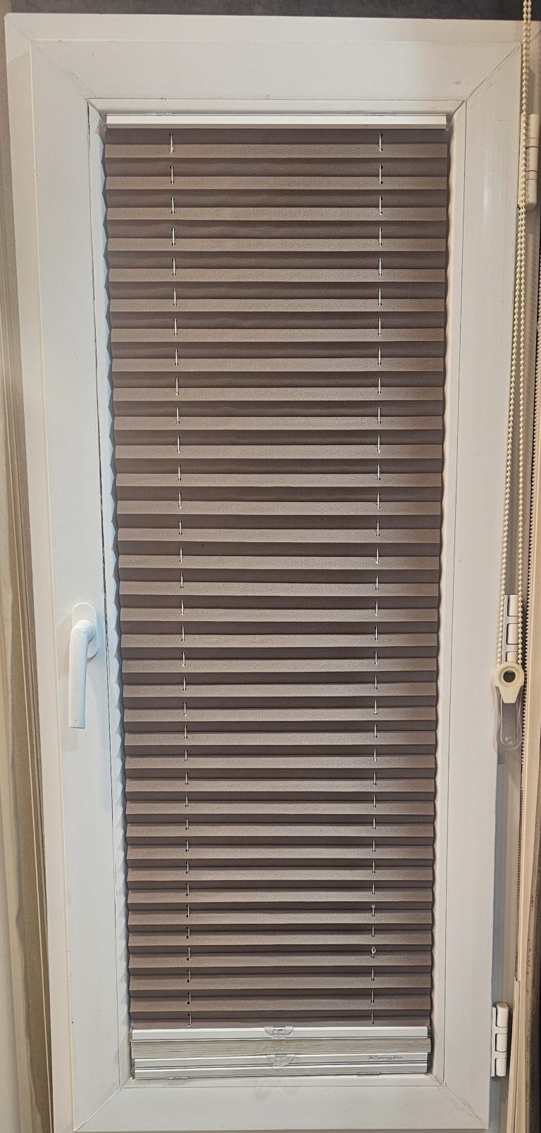 20251206_194030_pardeshine